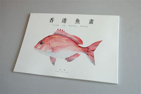 魚畫|41幅水彩魚畫結集成畫冊《香港魚畫》 魚畫家曾慶靈。